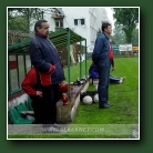Kliknij, aby powiększyć