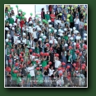 Kliknij, aby powi�kszy�