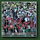 Kliknij, aby powi�kszy�