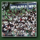 Kliknij, aby powi�kszy�