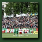 Kliknij, aby powi�kszy�