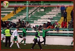 Kliknij, aby powi�kszy�